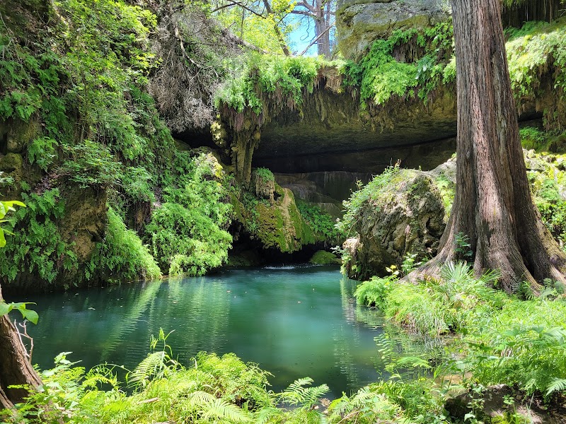 Westcave Outdoor Discovery Center, Austin