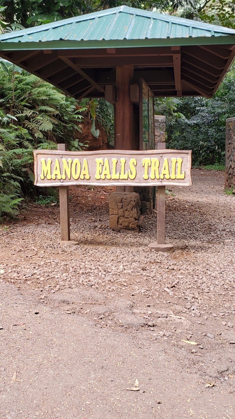 Na Ala Hele: Manoa Falls Trail, Honolulu