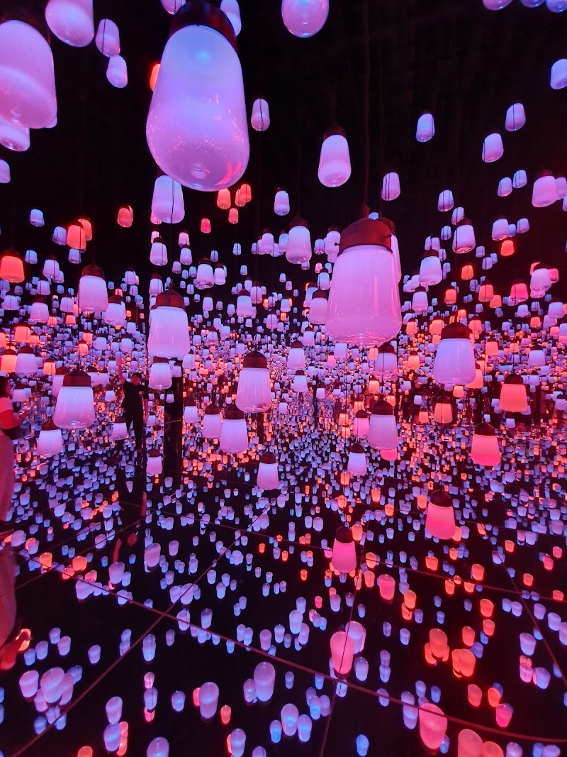 teamLab Borderless: MORI Building DIGITAL ART MUSEUM, Tokyo