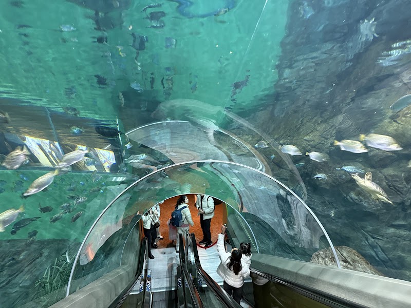 Shanghai Ocean Aquarium, Shanghai