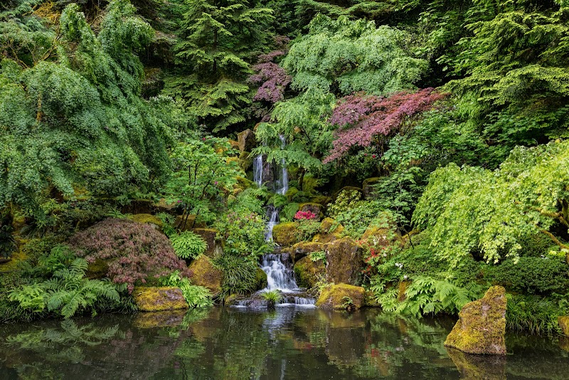Portland Japanese Garden, Portland