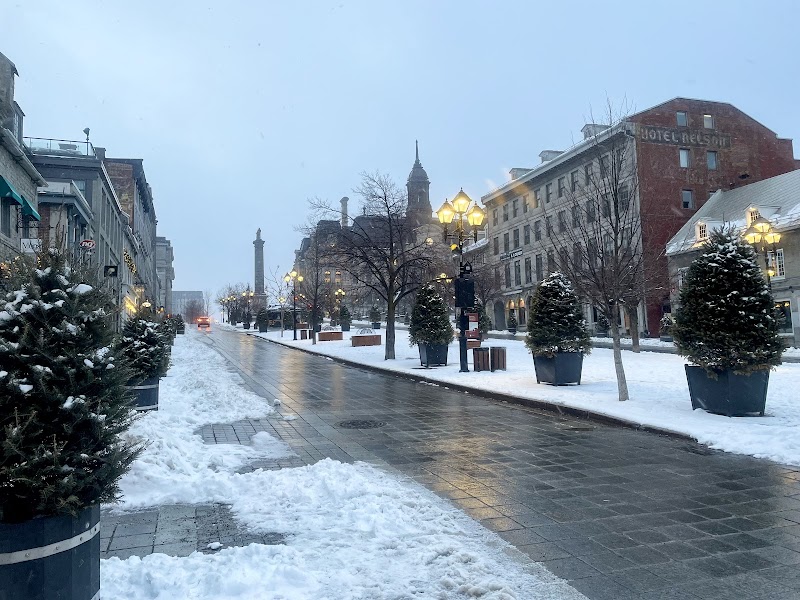 Walking Tour of Old Montreal, Montréal