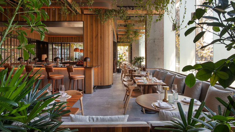 Casa Madera, Toronto