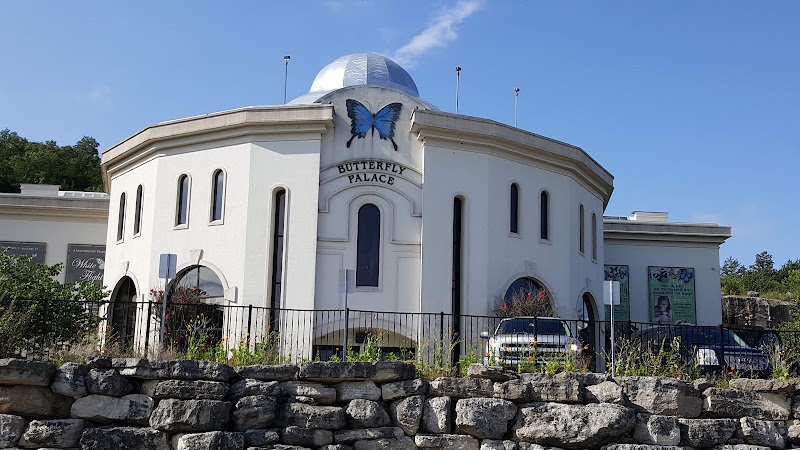 The Butterfly Palace & Rainforest Adventure, Branson