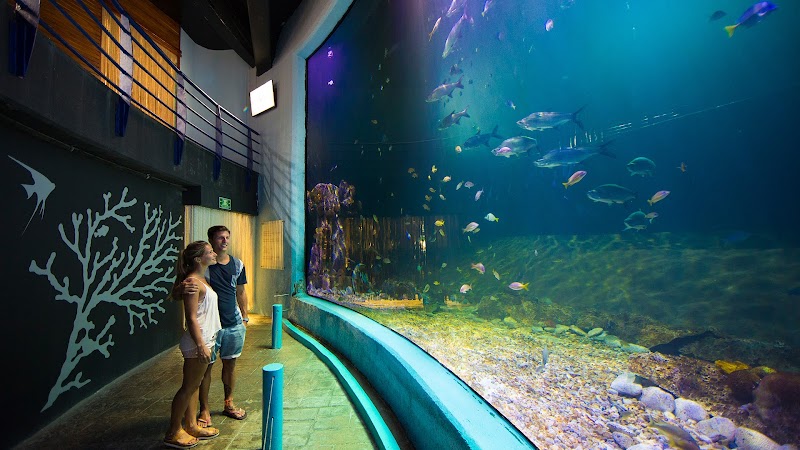 Interactive Aquarium Cancún, Cancún