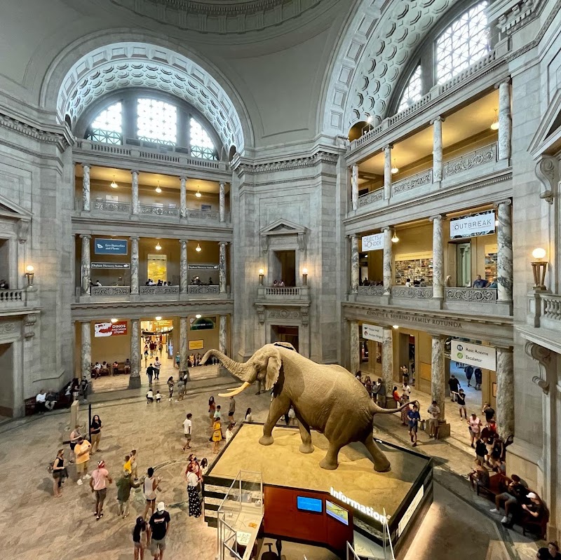 Smithsonian National Museum of Natural History, Washington