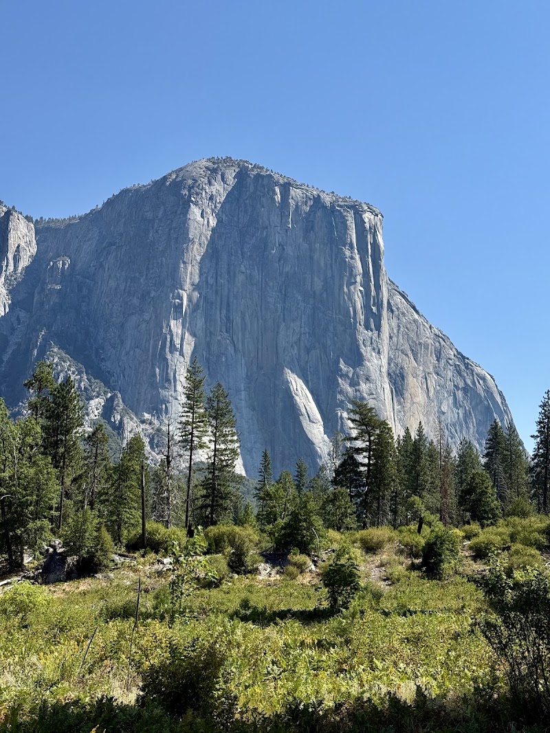 Lower Yosemite Fall Trail, Yosemite National Park