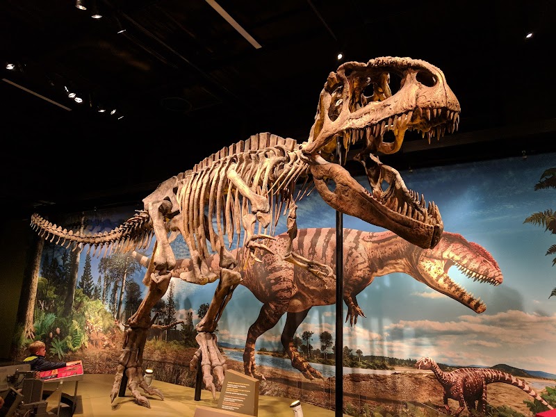 Denver Museum of Nature & Science, Denver