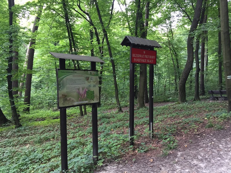 Las Wolski, Kraków