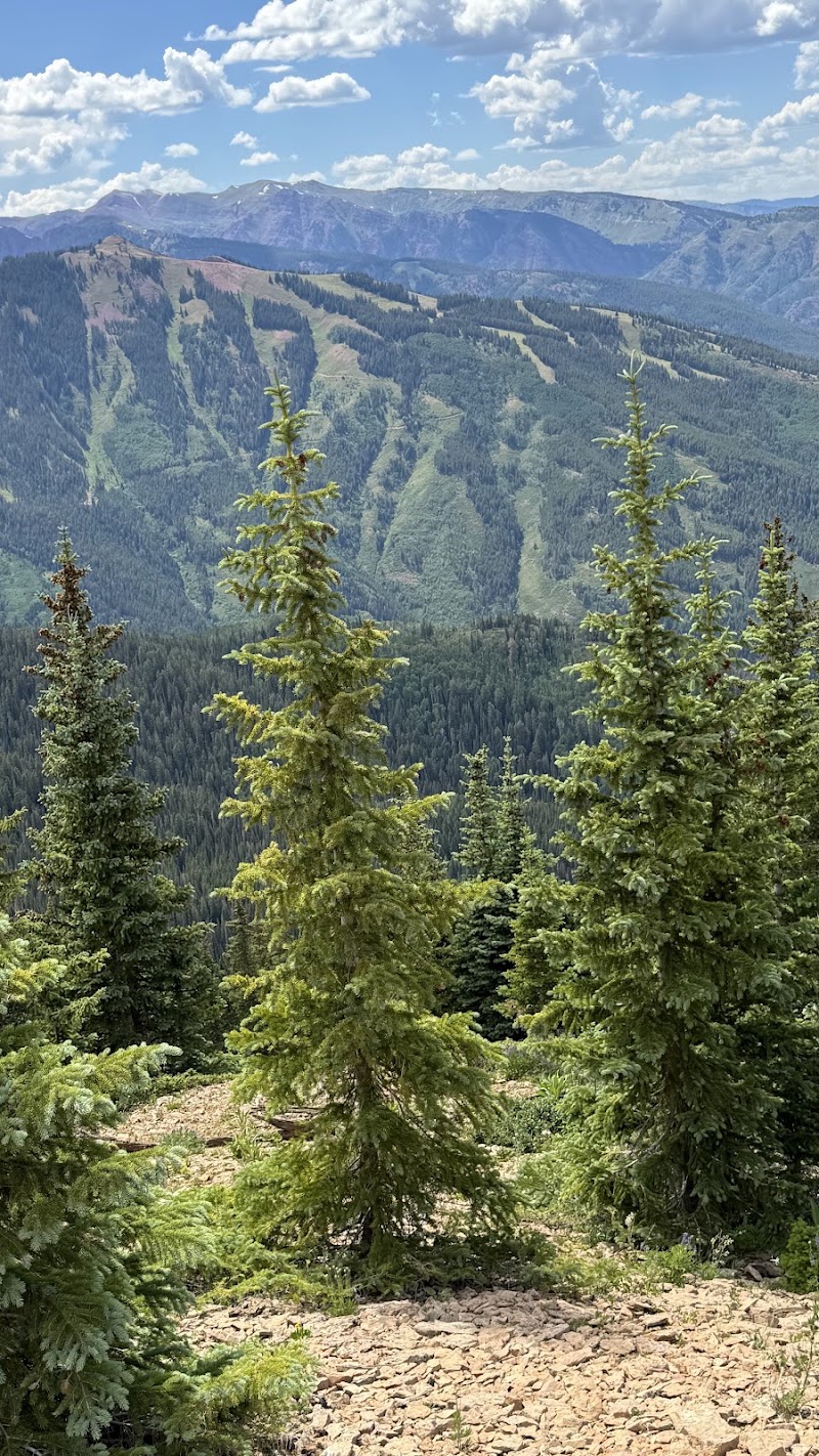 Hallam Lake, Aspen