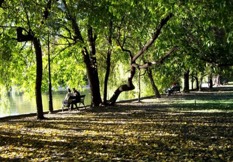 Cismigiu Parc, Bucharest