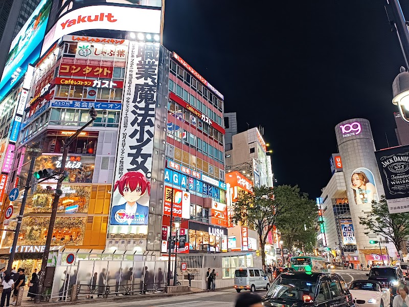 Shibuya Crossing, Tokyo